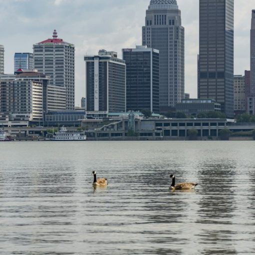 The louisville skyline is seen over the river, illustrating a man facing 600 charges for jail calls