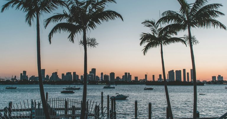 Silhouette of palm trees near body of water during sunset, illustrating phones in Florida cellblocks