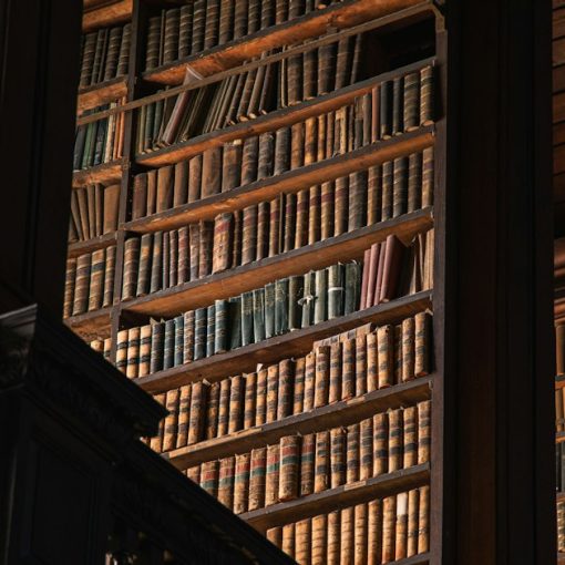 Brown wooden book shelves with books, illustrating Michigan's contraband phone law
