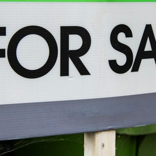 A green and white for sale sign with a bird perched on it, illustrating Global Tel*Link being shopped for sale