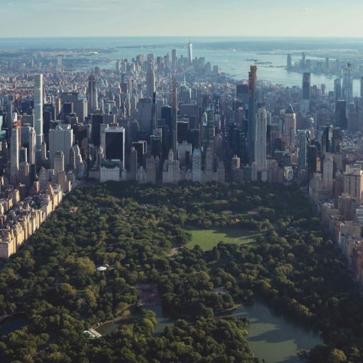 New York Central Park, illustrating an orderly smuggling phones in Manhattan