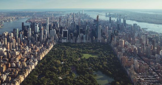 New York Central Park, illustrating an orderly smuggling phones in Manhattan