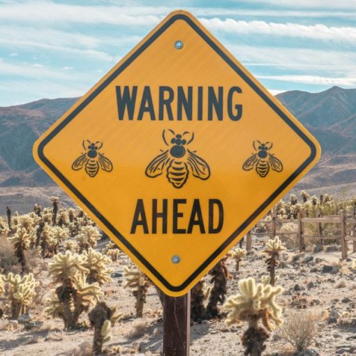 Yellow and black road sign, illustrating Georgia's view of contraband phones as a threat