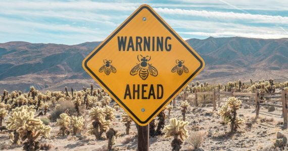 Yellow and black road sign, illustrating Georgia's view of contraband phones as a threat