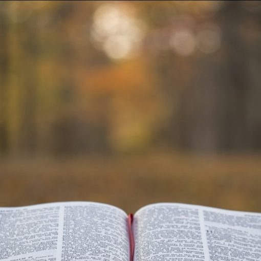 Bible page on gray concrete surface, illustrating contraband hidden in Bibles