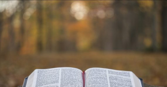 Bible page on gray concrete surface, illustrating contraband hidden in Bibles