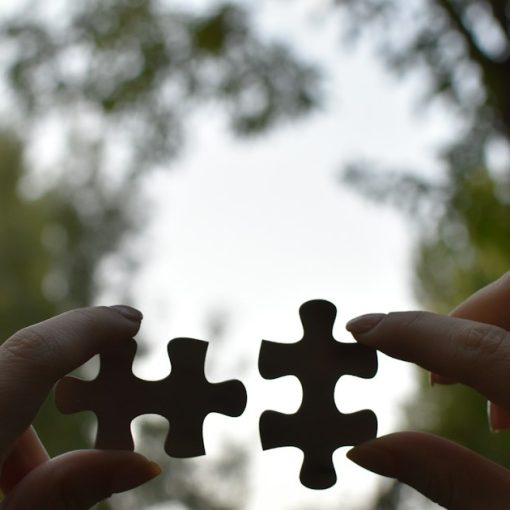 A person holding two pieces of a puzzle, illustrating no single solution to illegal phones