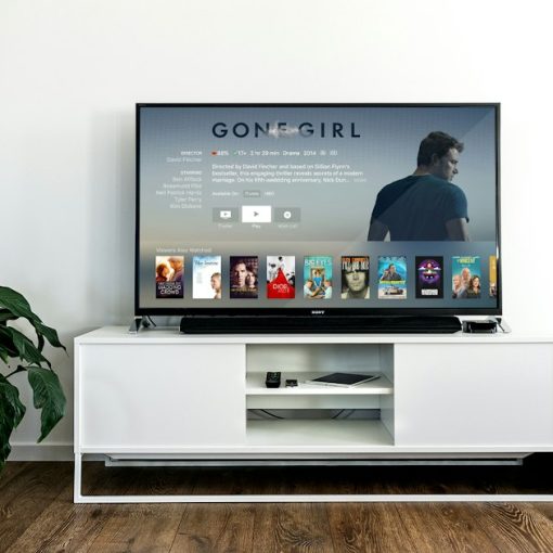 Flat screen TV, illustrating entertainment access for inmates