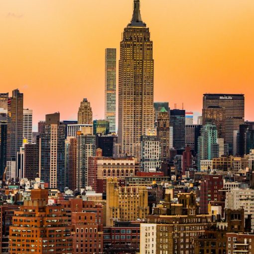 Landscape photo of New York Empire State Building, illustrating a phone-sniffing dog at Rikers