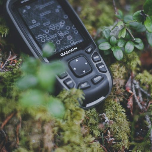 A cell phone sitting on top of a moss covered ground, illustrating satellite phones used by jailed terrorists