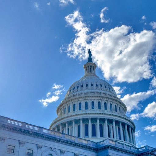 A large white domed building with the United States Capitol behind, illustrating the Wright Petition news roundup